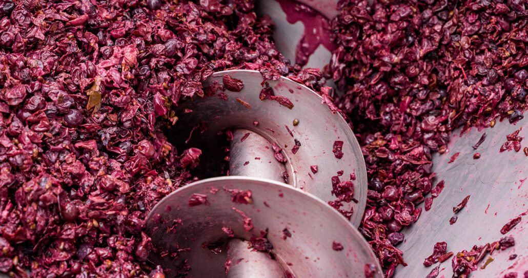 Casetta 1^ Settembre 24 - Vendemmia-26